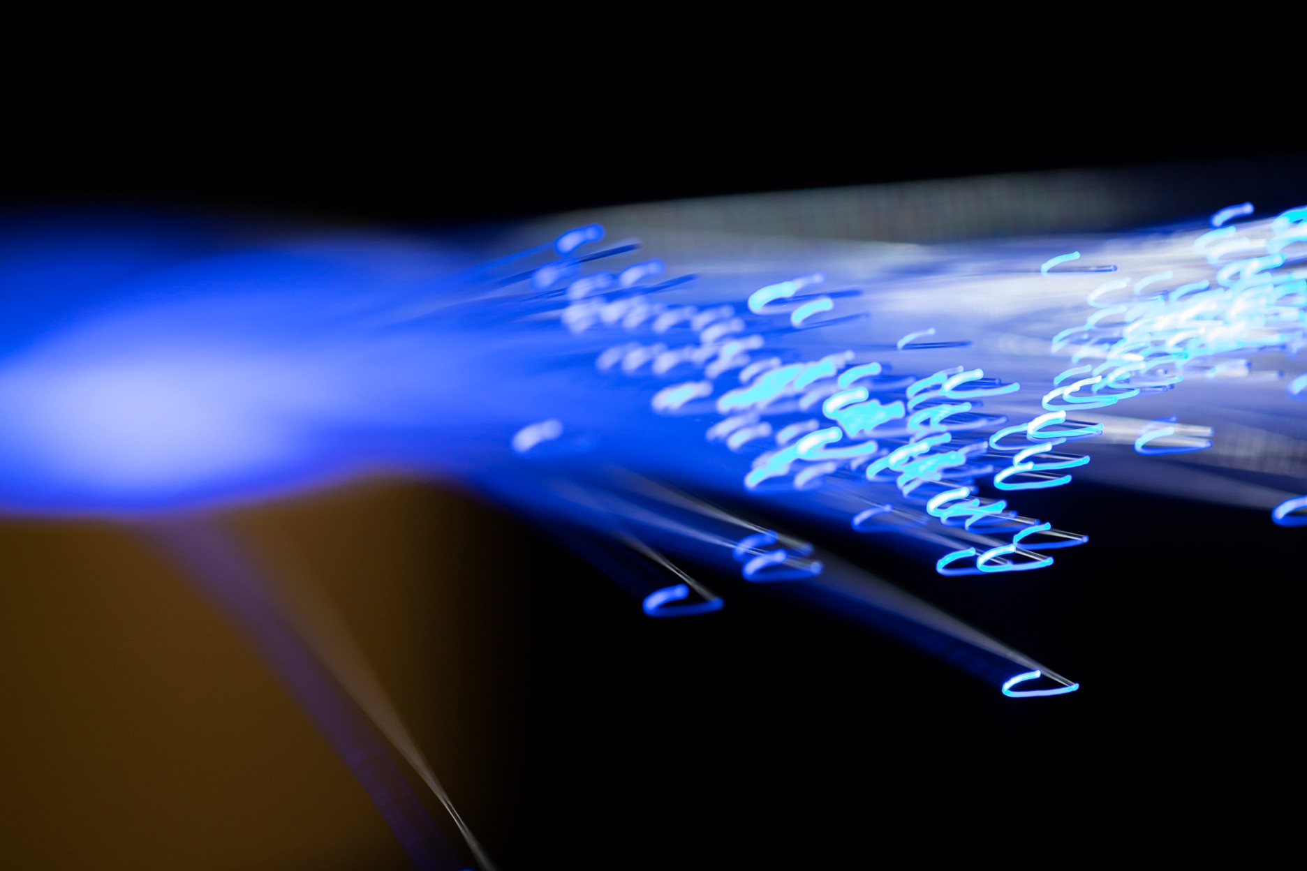 Close-up of glowing fiber optic cables transmitting high-speed data in a modern network infrastructure